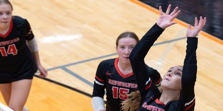 LCAA announces all-conference volleyball honors for 2025 season