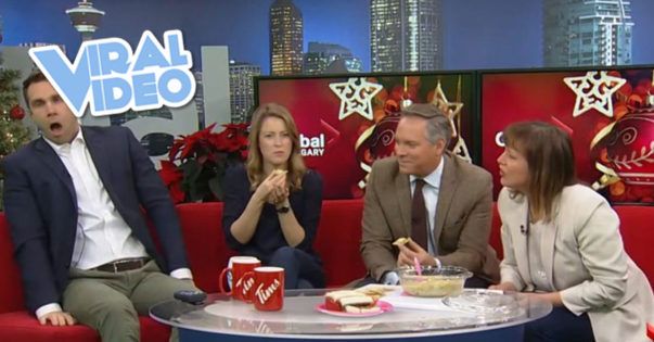 Viral Video: Holiday Dip Goes Terribly Wrong