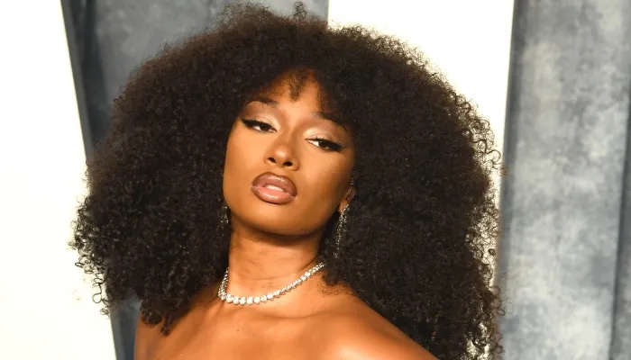 Megan Thee Stallion Wins Defamation Lawsuit