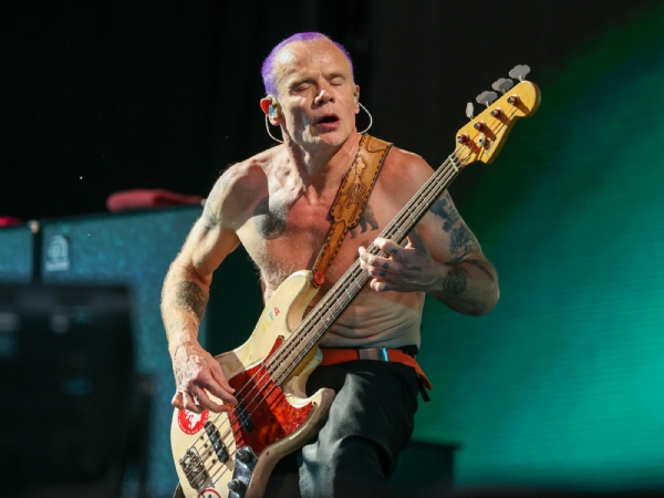 Red Hot Chili Peppers Bassist Flea Releases New Single, "A Plea," From His Forthcoming Solo Album