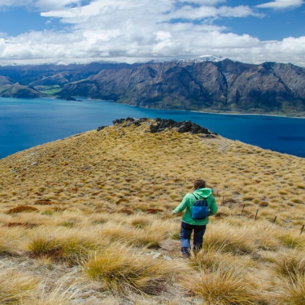 What Is the Best 10-Day South Island Itinerary in New Zealand?