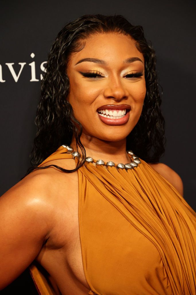 Megan Thee Stallion Celebrates Hitting No. 1 On Billboard
'Hot 100', Rapper Makes 'HISS'-Story With 