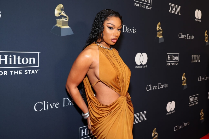 Megan Thee Stallion Gets Hennessy Message Following Viral Straw Video