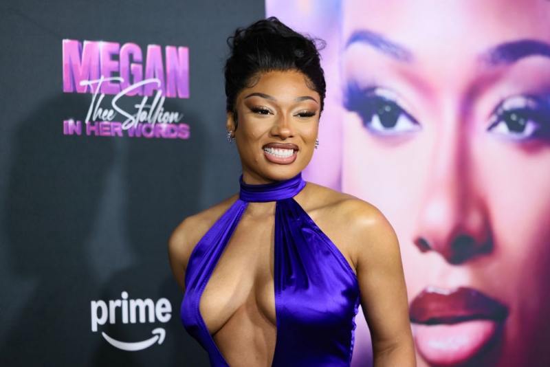 Megan Thee Stallion's Lawsuit Moves Forward Against Blogger Milagro Gramz For Defamation & Harassmen