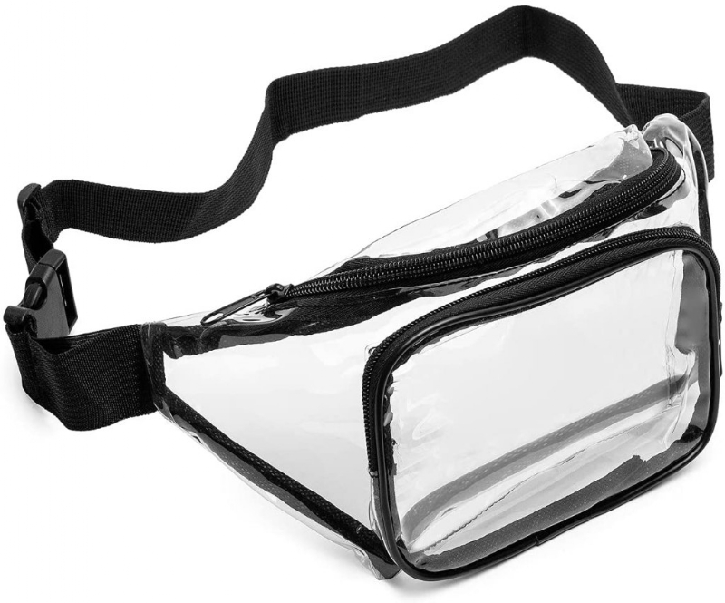 Here Are 5 Venue-Approved Bags to Take to Your Next Concert