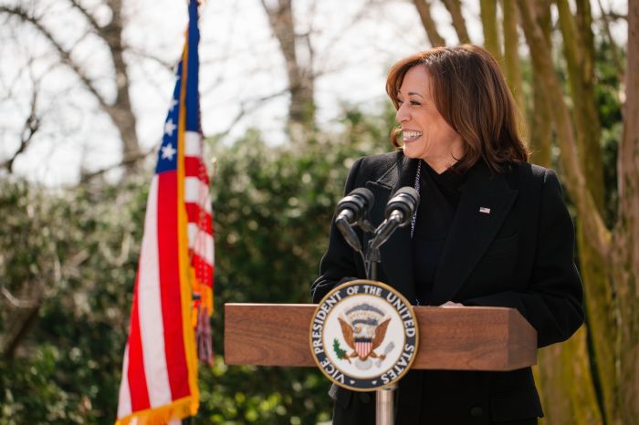 Vice President Kamala Harris Hosts Women's History Month Brunch With Joy-Ann Reid, Megan Thee Stalli