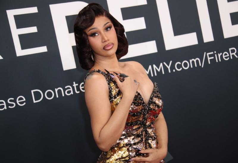 Cardi B Doesn't Want Past As A Stripper Or Alleged Gang Ties To Hurt Her In Assault Trial