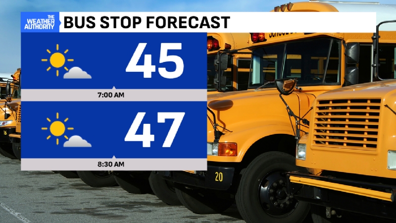 Sunnier and milder; 80° warmth soon to return