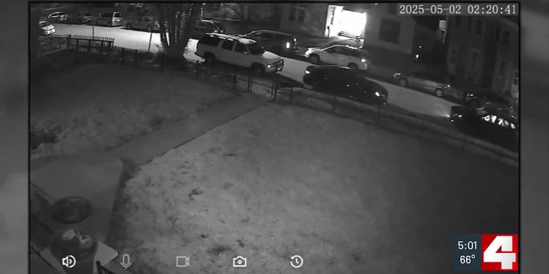 Teenager shot, killed by accomplices while breaking into cars, police say