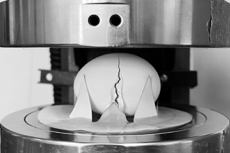 The Best Way to Drop an Egg Without Breaking It, According to Science