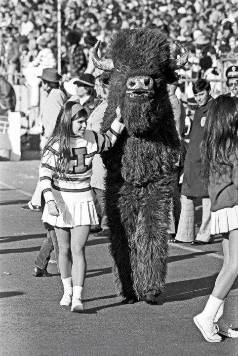 The bison is back! Indiana University resurrects mascot from decades past