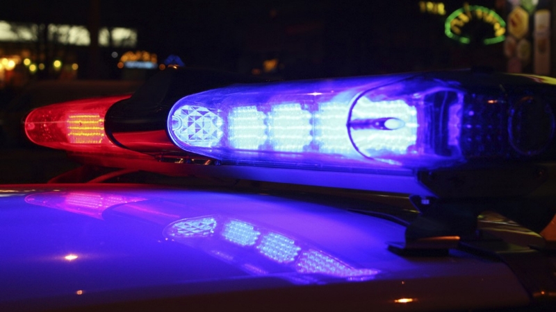 Multiple teens arrested for allegedly breaking into Newaygo Co. business, vehicles