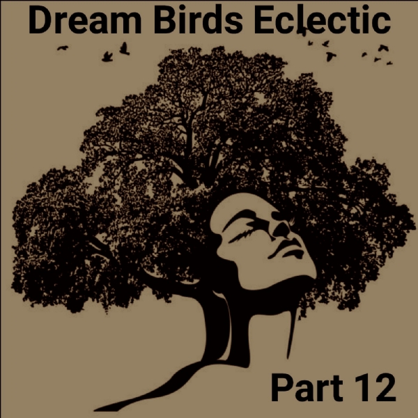 Vol 12 Dream Birds Eclectic Various Artist Mixed By Mell Starr Soul On Another Level
