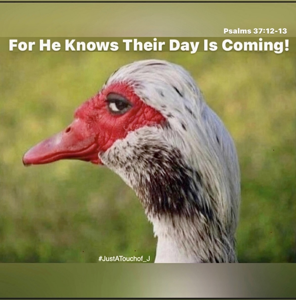 It's Time For My #JustATouchof_J 's Weekly Affirmation! Check Out, For He Knows Their Day Is Coming!