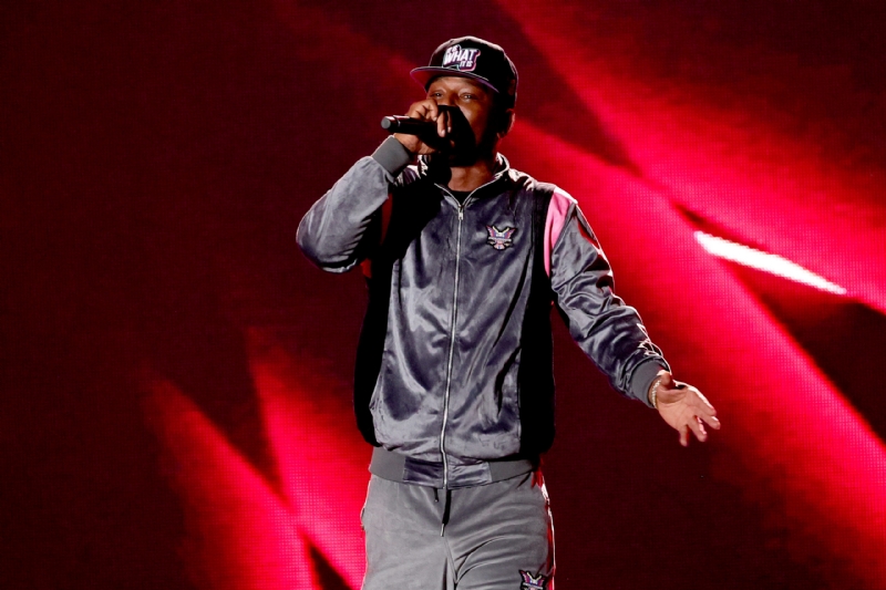 Cam'ron Flees New York Amid City's "Disgusting" Rat Problem