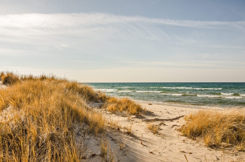 Lenawee Public Beach Monitoring