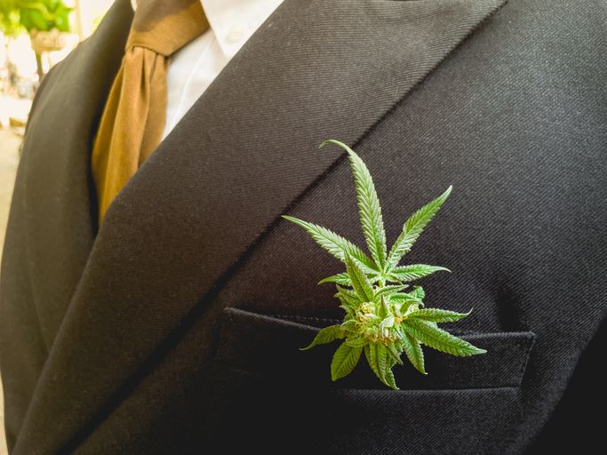 For Papas Who Puff & Dads Who Dab: Check Out Our 2025 Father's Day Cannabis Gift Guide For Papas Who Puff & Dads Who Dab: Check Out Our 2025 Father's Day Cannabis Gift Guide