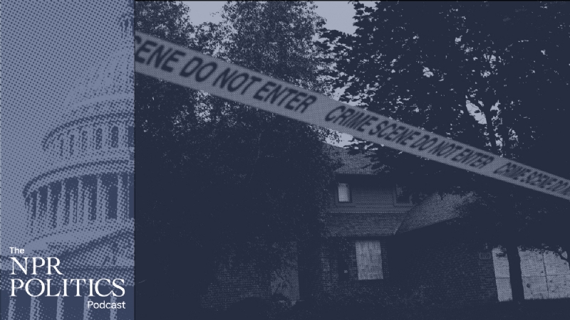 Political violence in the United States : The NPR Politics Podcast