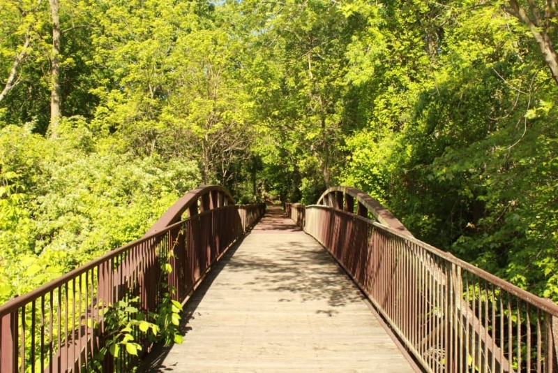 Parks Budget Hits 30 Percent Mark for 2025