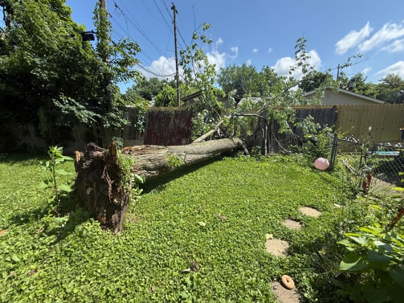 Cleanup continues as storm leaves Lawrence littered with debris
