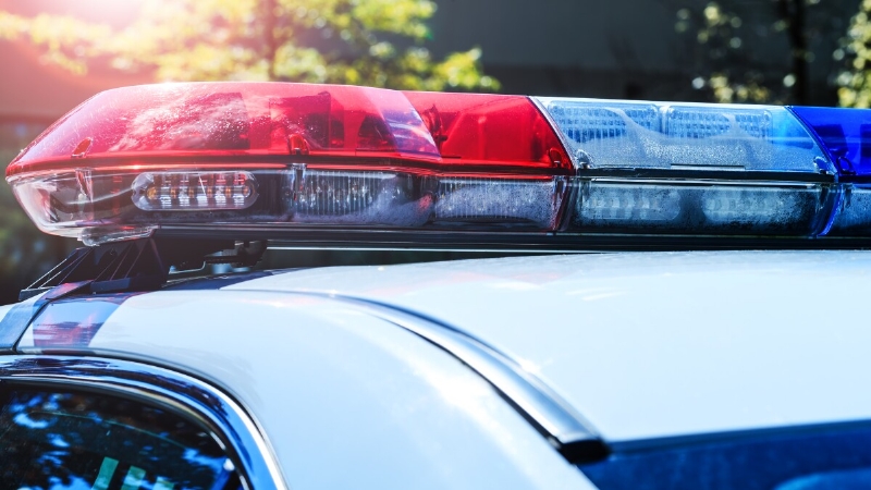 1-year-old girl hit by riding lawn mower, killed in Lenawee County