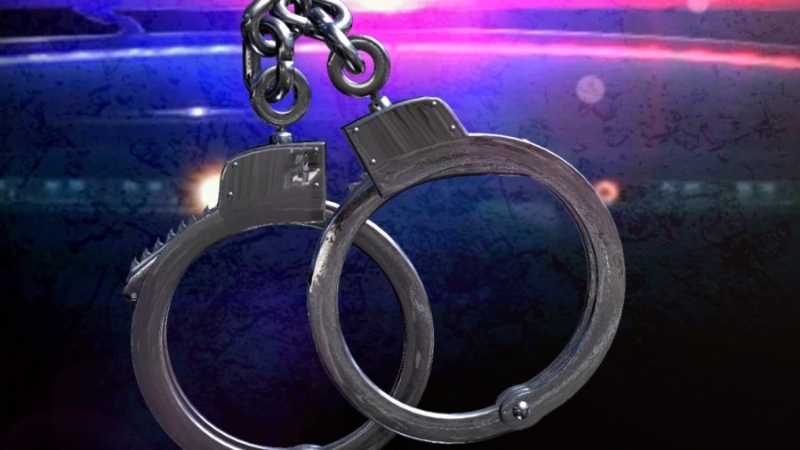Docs: Son stole car from father's employer, arrested
