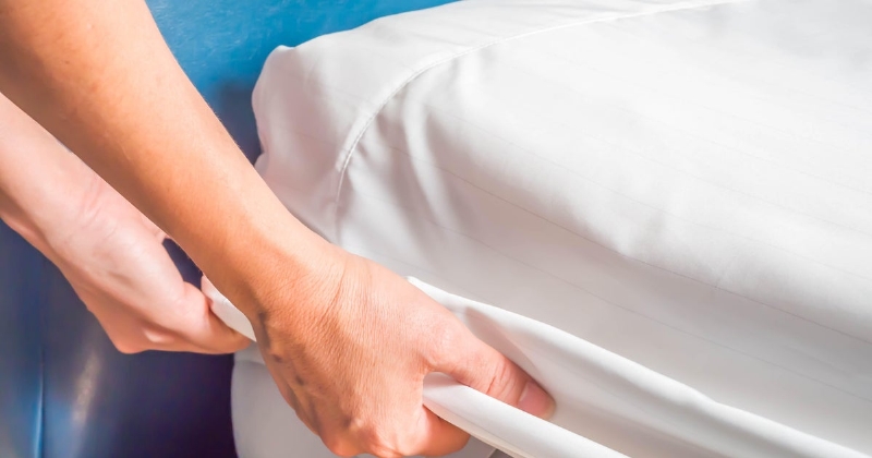 Chicago ranked top bed bug city for 5th year in a row