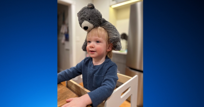 Family asking for help locating 2-year-old's lost stuffed bear last seen in Long Grove