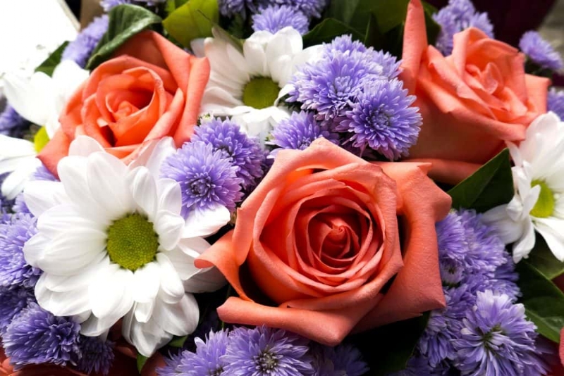 Funeral Services Announced for Child in Woodstock Township Accident