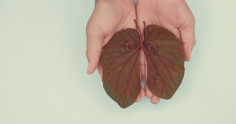 BREAKING NEWS: Merck & Co Leaps Into COPD Space With $10bn Verona Buy