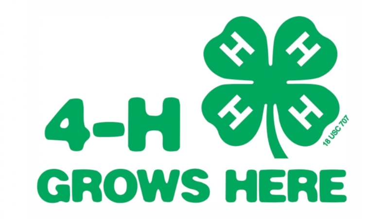 4-H Honors Announced