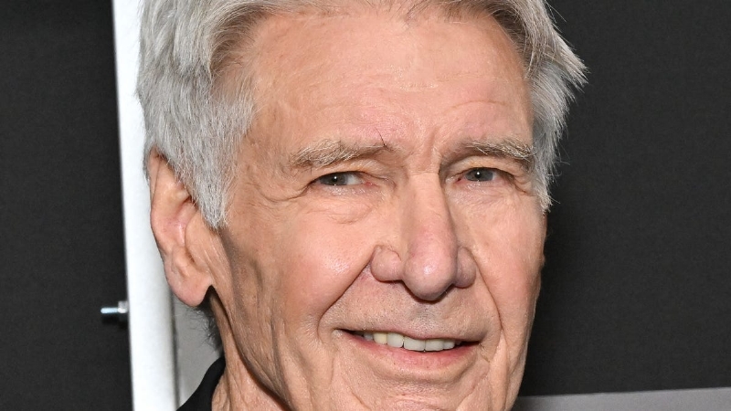 Harrison Ford slams state of American politics: 'Rich get richer, poor get poorer'