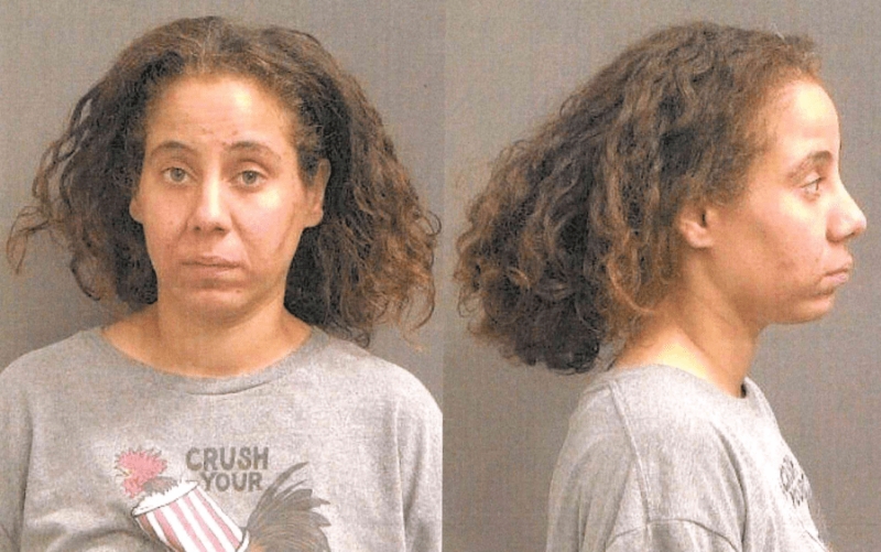 21 animals rescued from alleged Muncie dogfighting ring; woman arrested