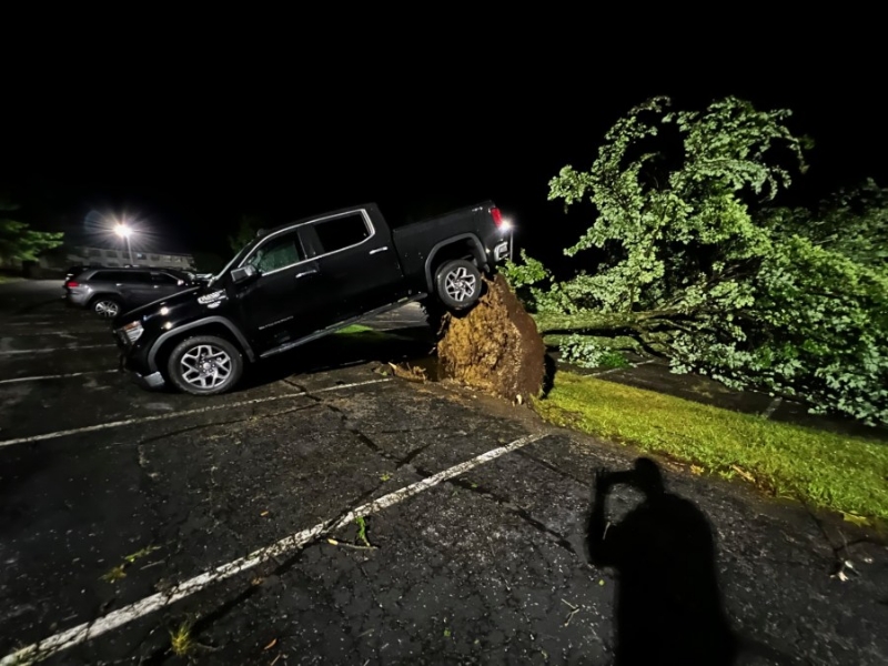 Tree falls on man amidst severe storm in Monroe County
