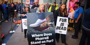 PETA France Urges Revocation of Pharrell's Legion of Honor Over Use of Animal Skins