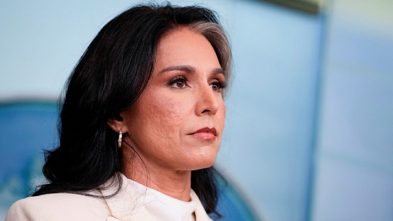 Gabbard shrinks her own office | Latest US politics news from The Economist