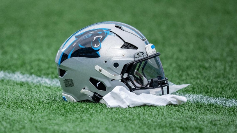 NFL Preseason Football: Steelers at Panthers