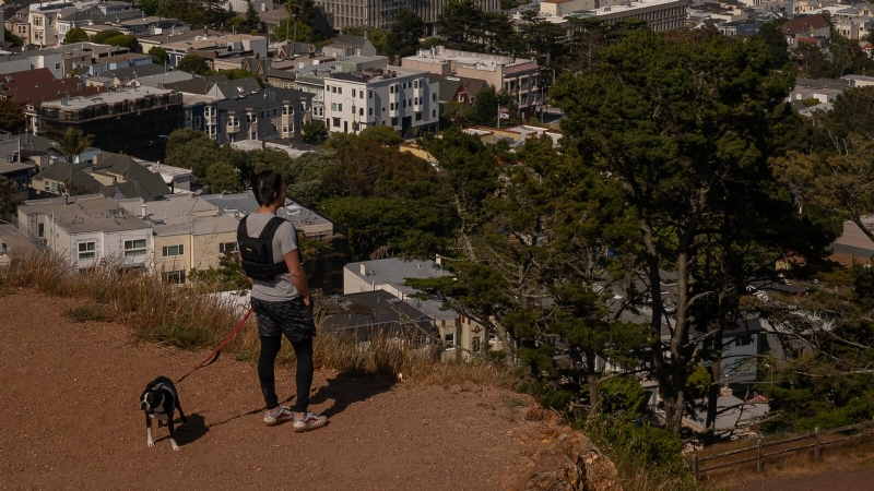 San Francisco Had Avoided Trump's Ire. Until Now.