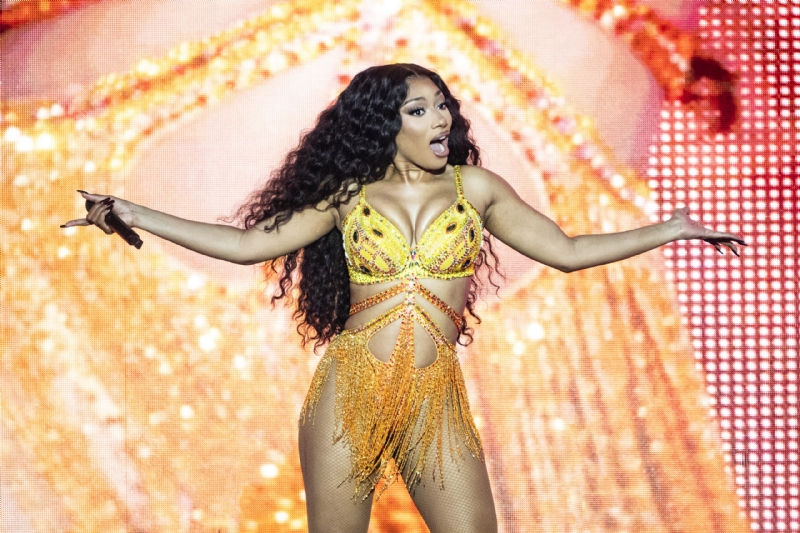 Megan Thee Stallion Reveals If She Wants More Support From Black Men