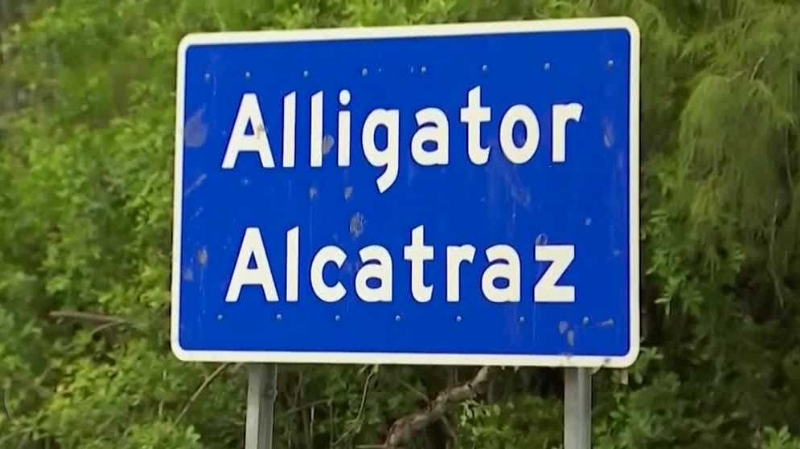 Appeals court blocks judge's order to dismantle Alligator Alcatraz
