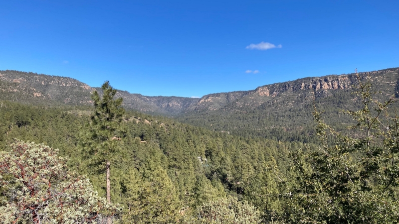 29-year-old woman camping near Mogollon Rim falls to her death