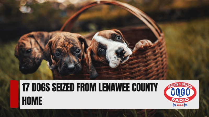17 Dogs Seized From Lenawee County Home