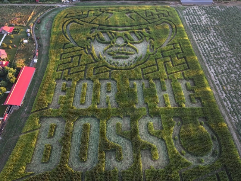 Check out this Jim Irsay tribute corn maze