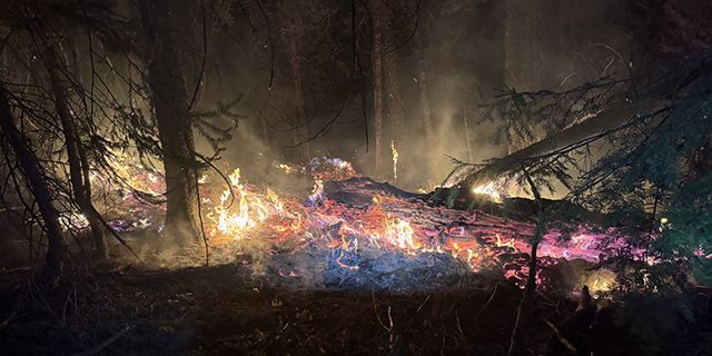 BREAKING: Wildfire reported on Mt. Emily outside La Grande