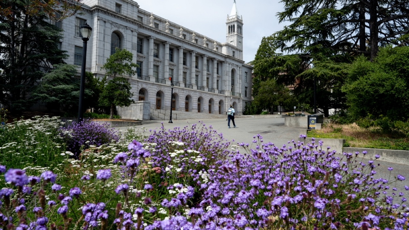 U.C. Berkeley Gives Names of Students and Faculty to Government for Antisemitism Probe