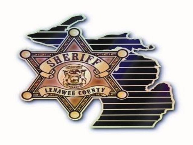 Fatal Crash on Occidental Highway in Raisin Township