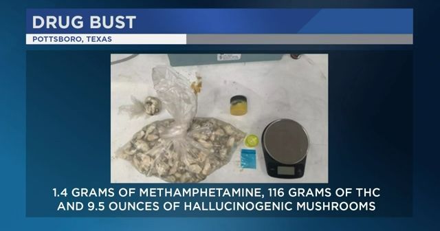 Pottsboro police make drug arrest following search warrant