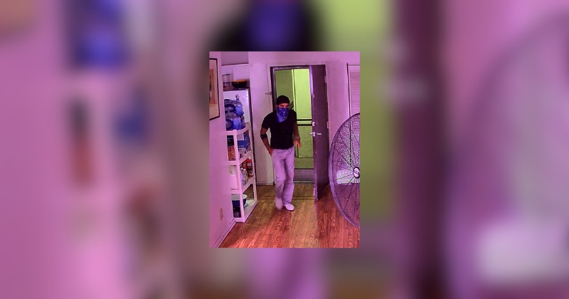 Burglar kills resident's dog during West Hollywood break-in