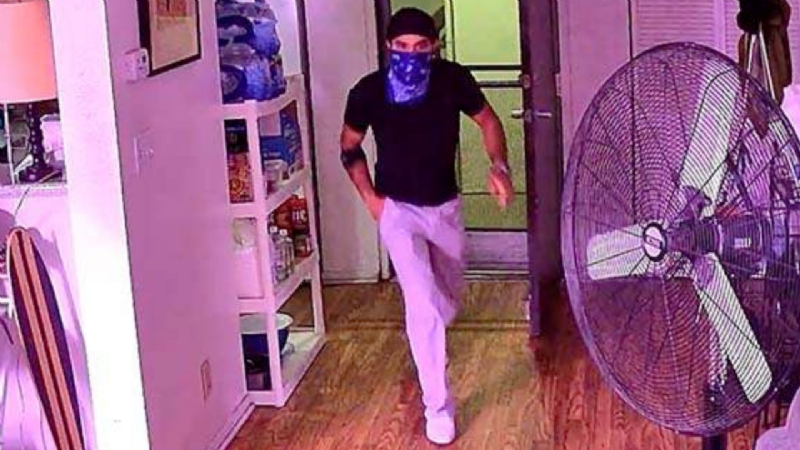 Small dog abused, killed by suspect breaking into West Hollywood home: LASD