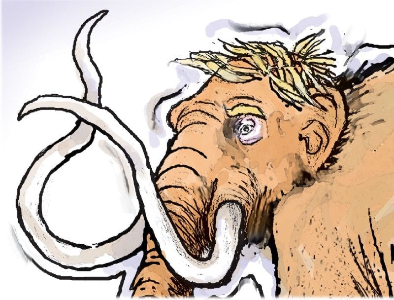 JD Crowe: Trump's immigration 'ICE age' freezes Alabama construction industry